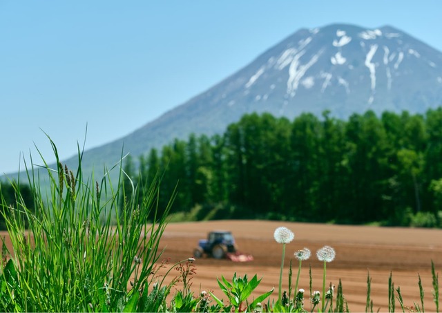 Gård vid foten av berget Yōtei i Niseko