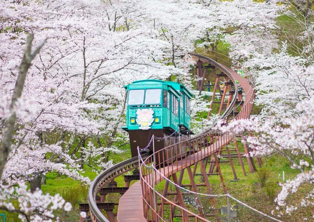 Monorailen i Funaoke slottsruinspark i Sendai