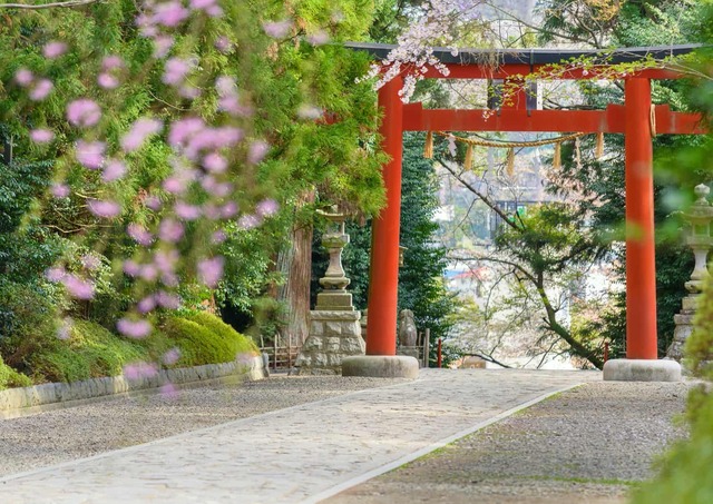 Torii-porten, Osaki Hachimangu Shrine, Sendai