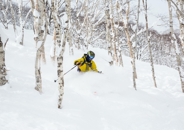 Offpiståkning i Niseko