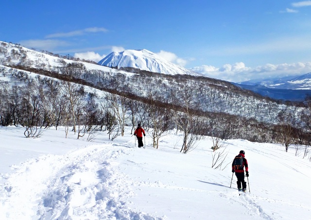 Offpiståkning i Niseko