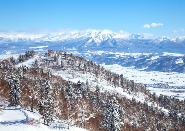 Furano skidort