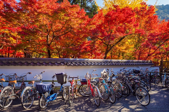 Cyklar i Kyoto