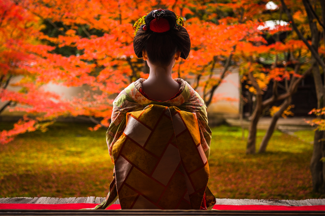 Maiko-middag, Kyoto