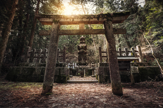 Heldagsutflykt till Mt. Koya
