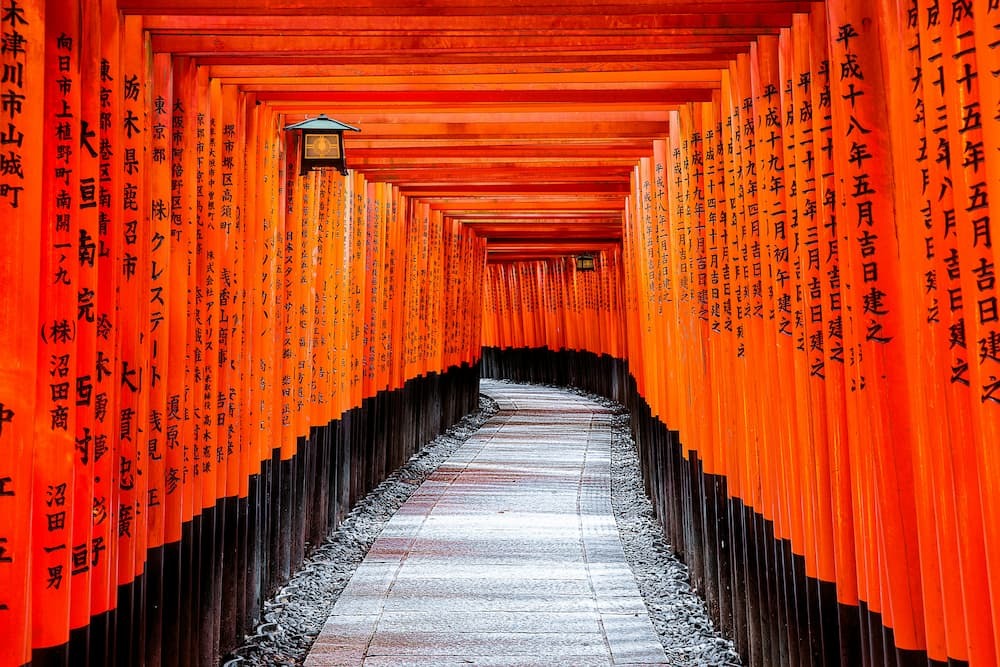 Omotenashi-serviceFushimi Inari Shrine i Kyoto, Japan, med tusentals orangefärgade torii-portar