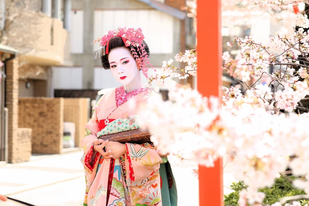 Maiko på sakura-väg med rosa paraply