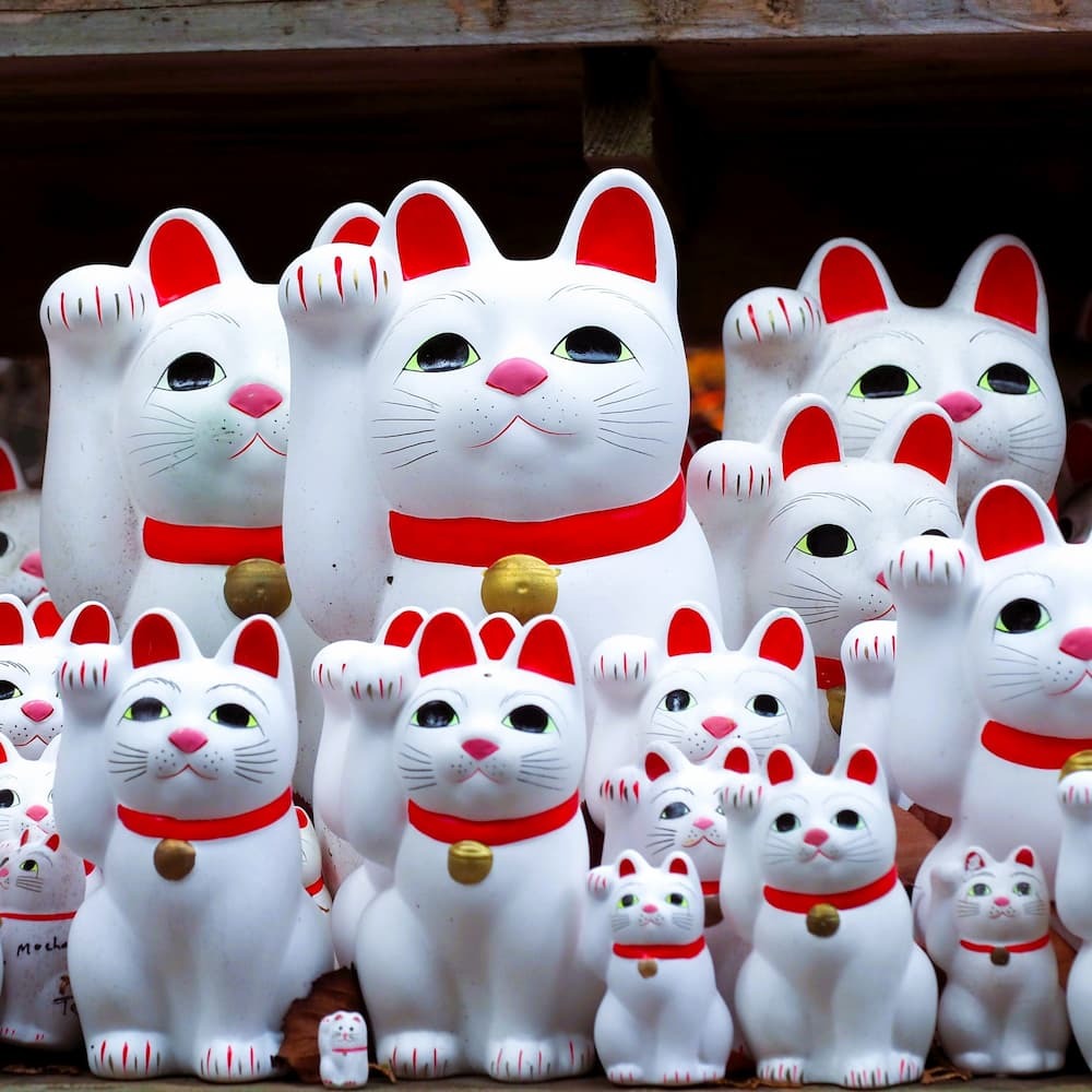 Maneki-neko lyckliga katter vid Goutokuji Shrine, Tokyo, Japan