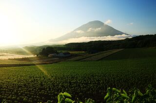 Mt. Yotei på sommaren, Niseko