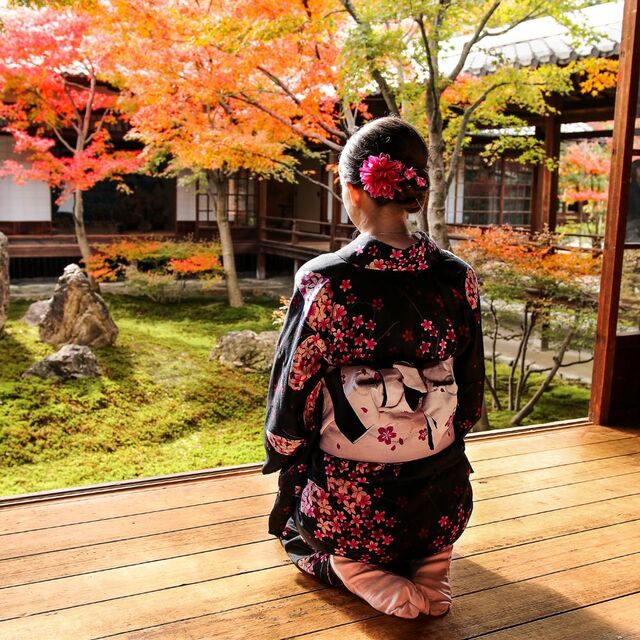 Flicka i kimono under höstens färger i Kyoto, Japan. 