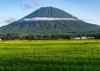 Berget Yotei med risfält, Hokkaido