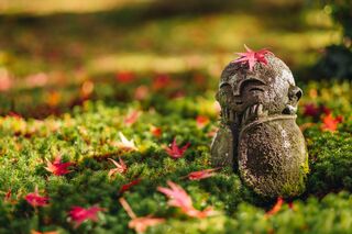 Jizo-stenstaty i Kyoto 