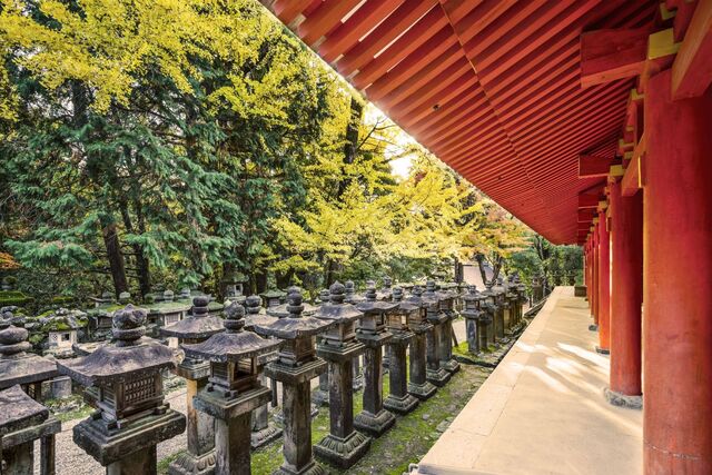 Höstlöv vid Kasuga Taisha-helgedomen i Nara 